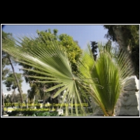 17207 02 030 Nationalmuseum Damaskus Syrien 2011.JPG